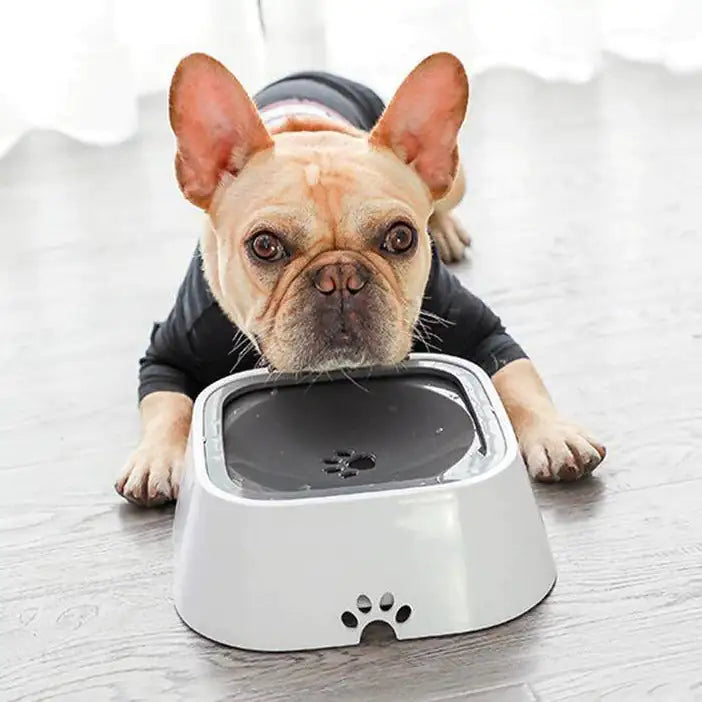 Anti-Spill Pet Water Bowl