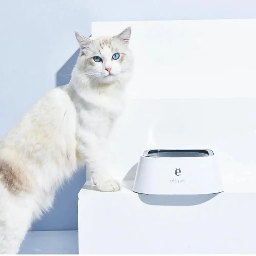 Anti-Spill Pet Water Bowl